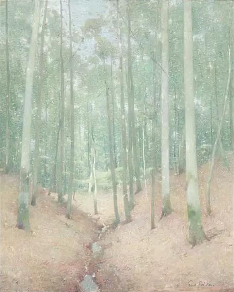 Wood Interior, c. 1910 (oil on canvas)