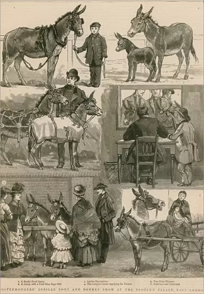 Costermongers Jubilee Pony and Donkey Show at the Peoples Palace, East London (engraving)