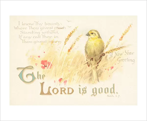 Finch with Corn, New Year Card (chromolitho)