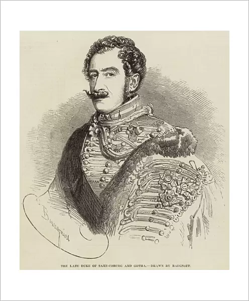 The Late Duke of Saxe-Coburg and Gotha (engraving)