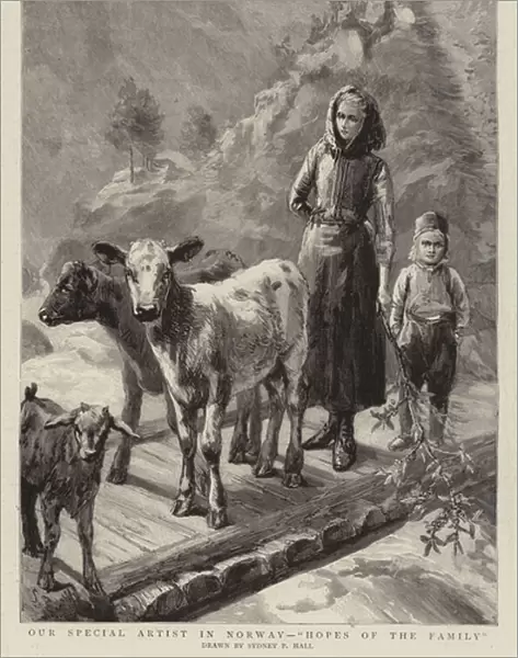 Our Special Artist in Norway, 'Hopes of the Family'(engraving)