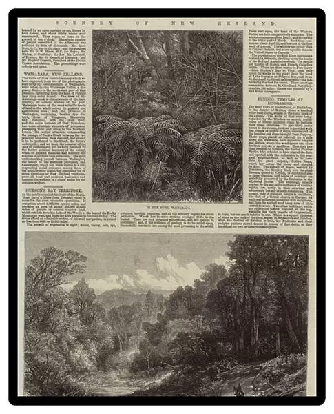 Scenery of New Zealand (engraving)