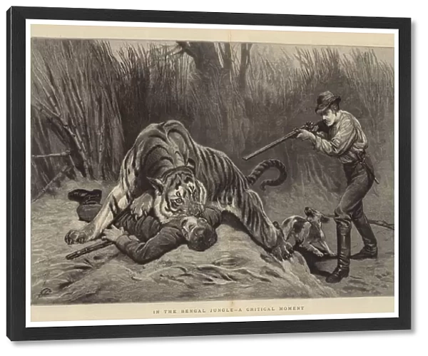 In the Bengal Jungle, a Critical Moment (engraving)