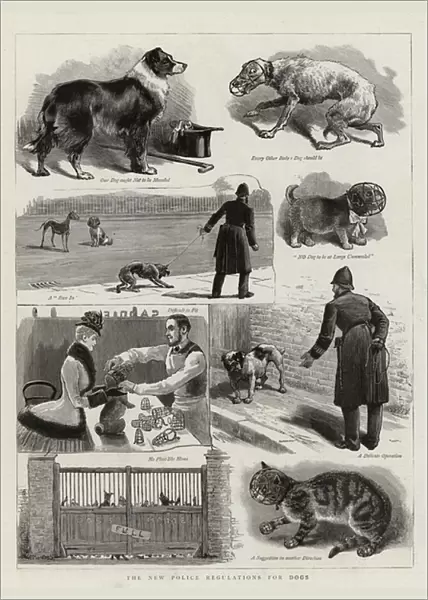The New Police Regulations for Dogs (engraving)