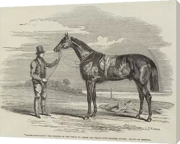 'Foigh-a-Ballagh, 'the Winner of the Great St Leger and Grand Duke Michael Stakes (engraving)
