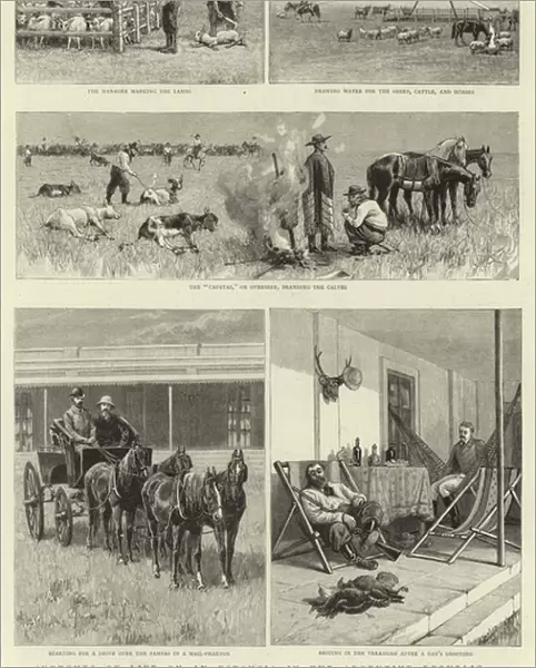 Sketches of Life on an Estancia in the Argentine Republic (engraving)
