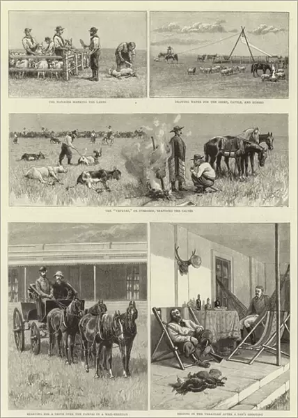 Sketches of Life on an Estancia in the Argentine Republic (engraving)