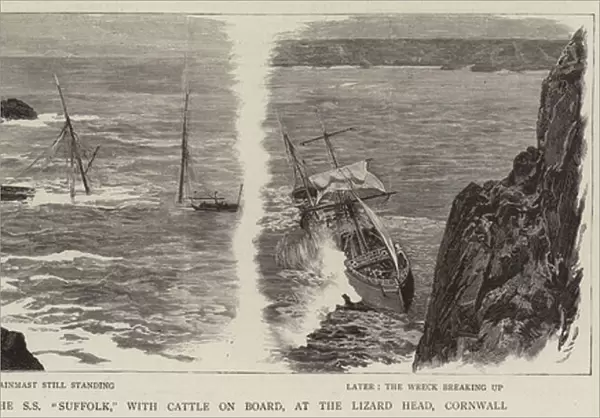 The Wreck of the SS 'Suffolk', with Cattle on Board, at the Lizard Head, Cornwall (engraving)