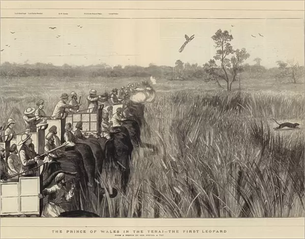The Prince of Wales in the Terai, the First Leopard (engraving)