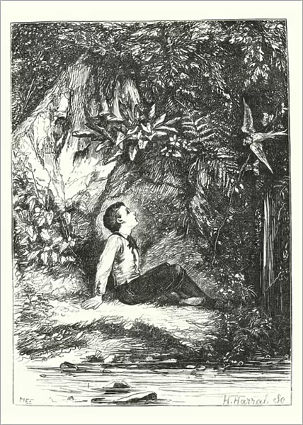 The little bird who told stories (engraving)