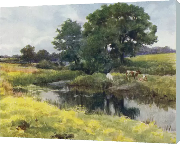 The New Forest: On the Lymington River (colour litho)