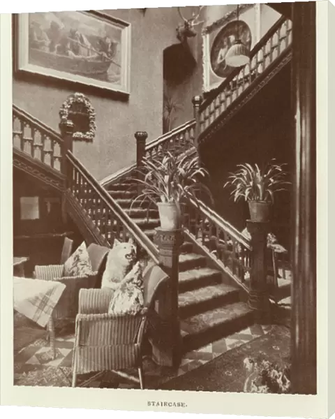 Levens Hotel: Staircase (b  /  w photo)