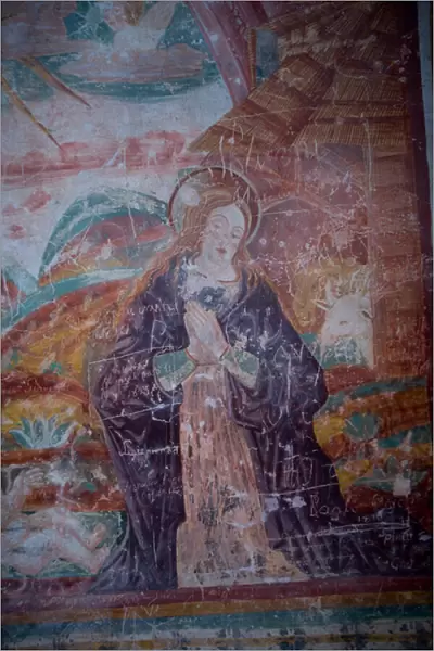 Madonna, detail from the Nativity (fresco)