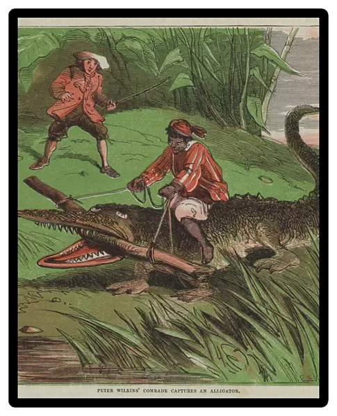 Peter Wilkins comrade captures an alligator (colour litho)