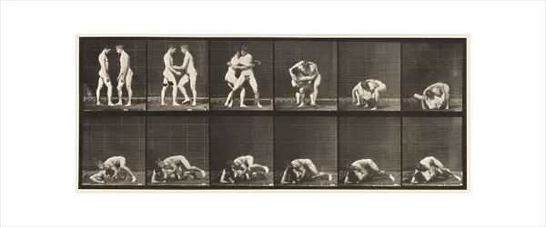 Plate 345. Wrestling, Lock, 1885 (collotype on paper)