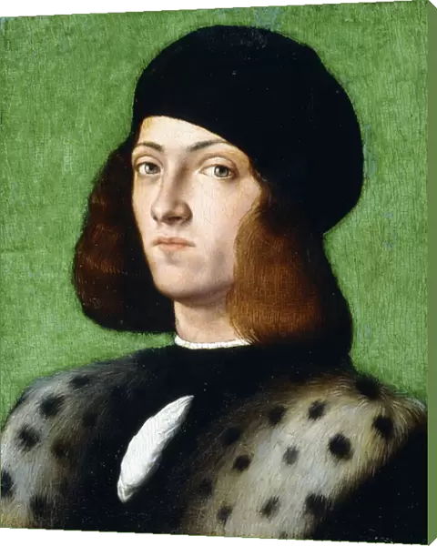 Portrait of a young Gentleman, bust-length, wearing a black cap and black coat