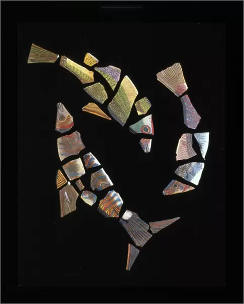 Mosaic fish tile fragments, c. 1st century BC - 1st century AD (glass) (see also 619149)