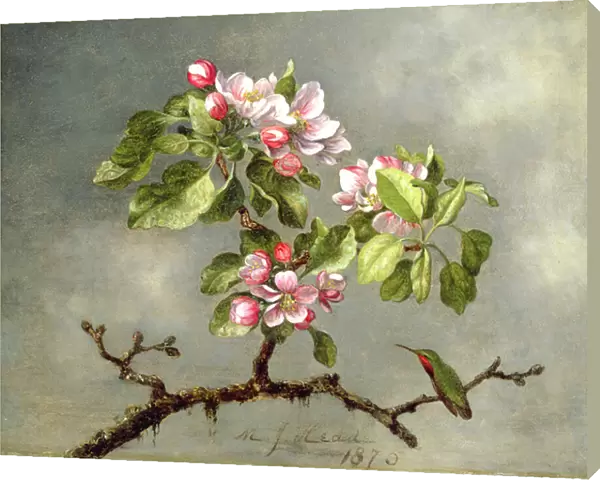 Apple Blossoms and a Hummingbird, 1875 (oil on board)