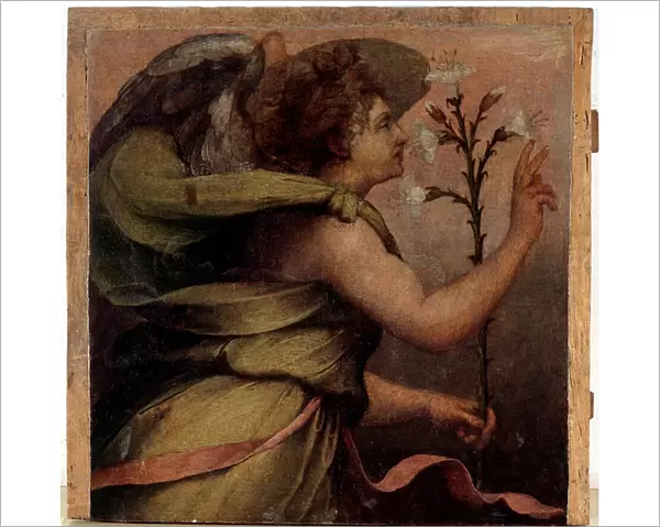 Angel of the Annunciation, detail (oil on wood, c. 1535)