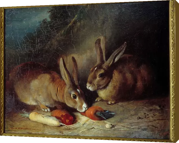 Rabbits. Painting by Rosa Bonheur (1822-1899), 1840. Bordeaux, Musee Des Beaux Arts
