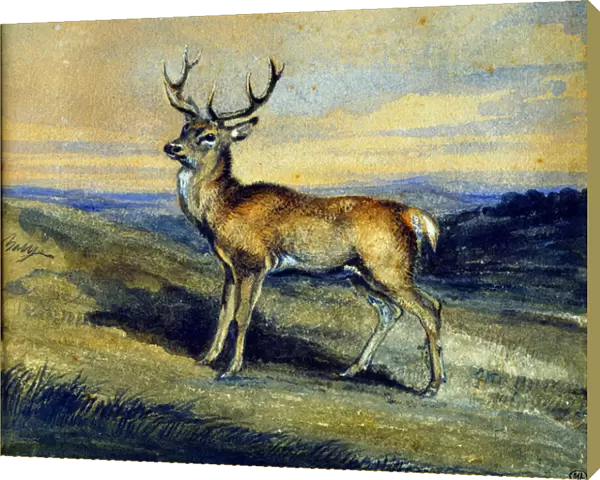 The deer. Painting by Antoine Louis Barye (1795-1875), 19th century