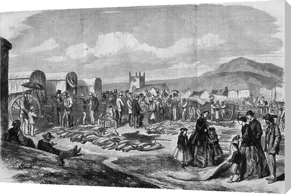Ivory and skins market in Grahamstown, Albania, Cape Colony, 19th century
