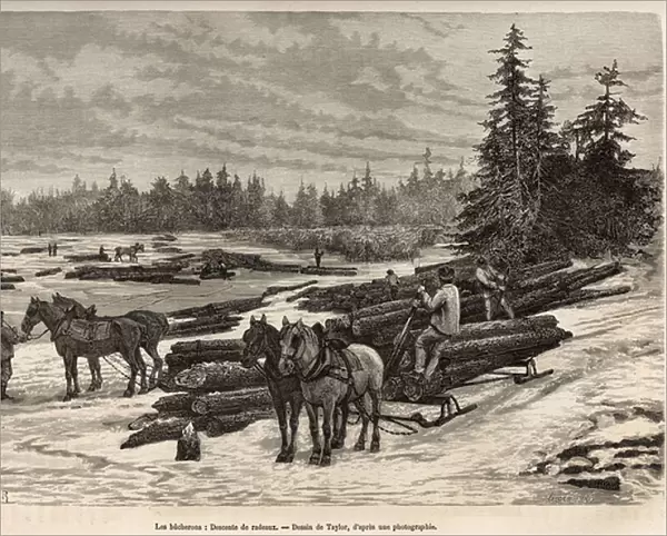 The descent of the rafts in Ontario, the loggers unload the cut trunks