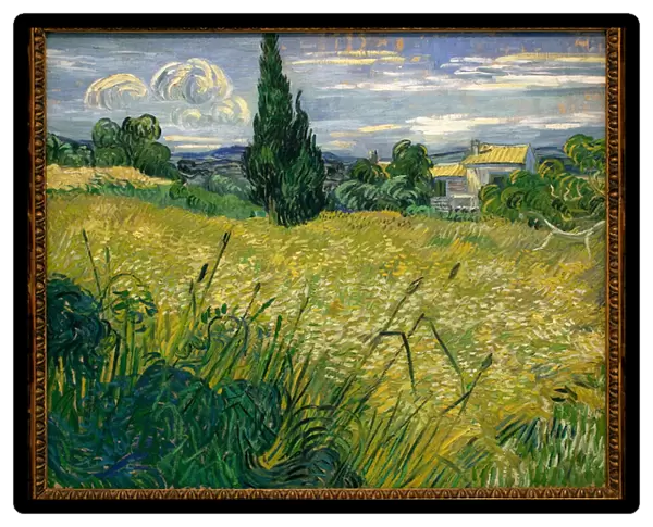 But Green - Painting by Vincent Van Gogh (1853-1890), Oil On Canvas, 1889 - French Art