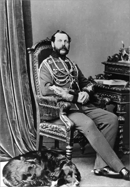 Portrait of Emperor Alexander II of Russia, 1863-65 (albumen print)