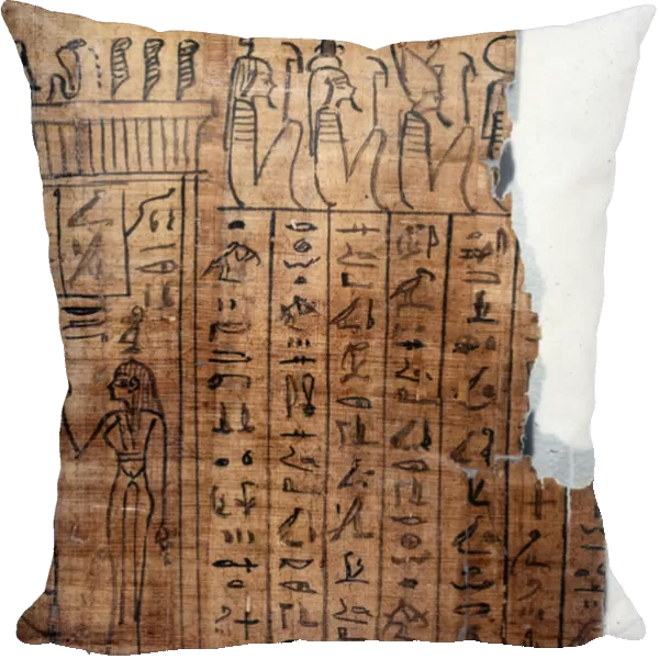 The Book of the Dead: Egyptian hieroglyph on a papyrus of the 22nd dynasty. Detail