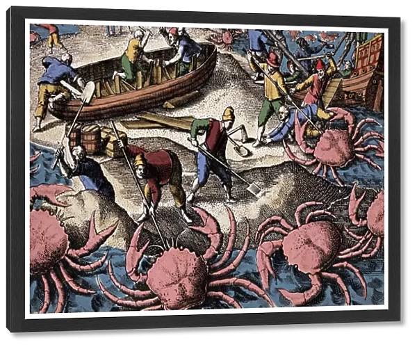 European navigators fighting big crab. Engraving from '