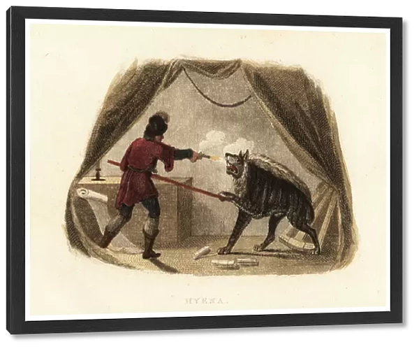 James Bruce killing a hyena with pistol and pike in his tent in Maitsha, Abyssinia (near Gondar, Ethiopia)