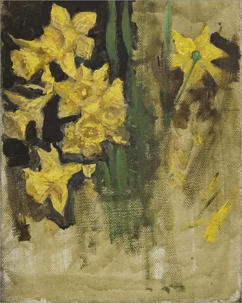 Daffodils (oil on canvas)