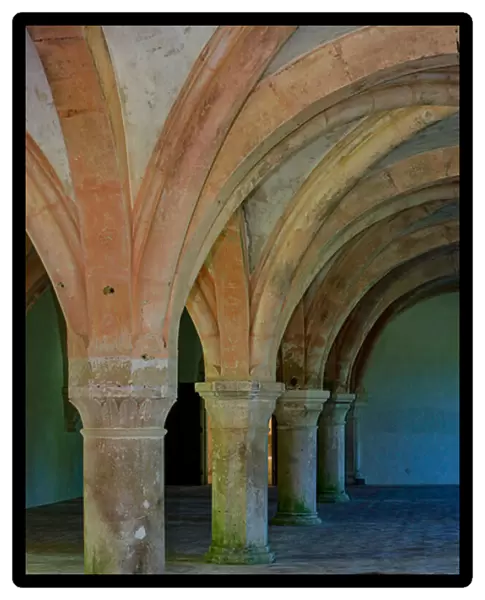 Abbey of Fontenay. Pillars and vaults of the monks room (photography)