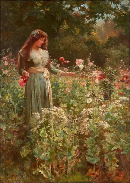 Gathering Poppies (oil on canvas)