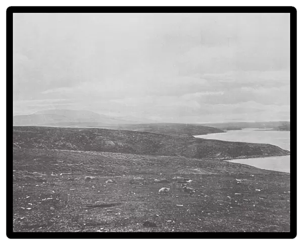 Falkland Islands: Camp with Mount Usborne (b  /  w photo)