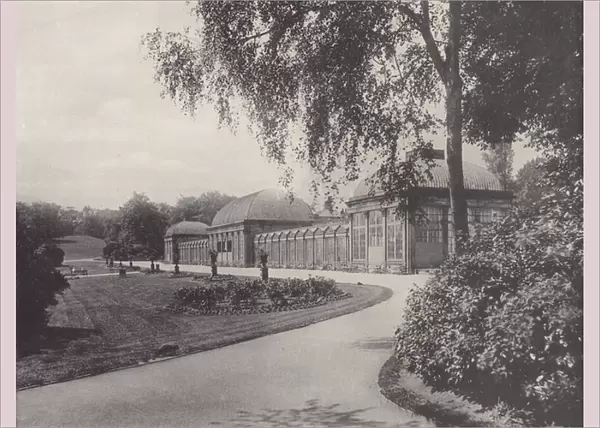 The Conservatory, Botanical Gardens, Sheffield (b  /  w photo)