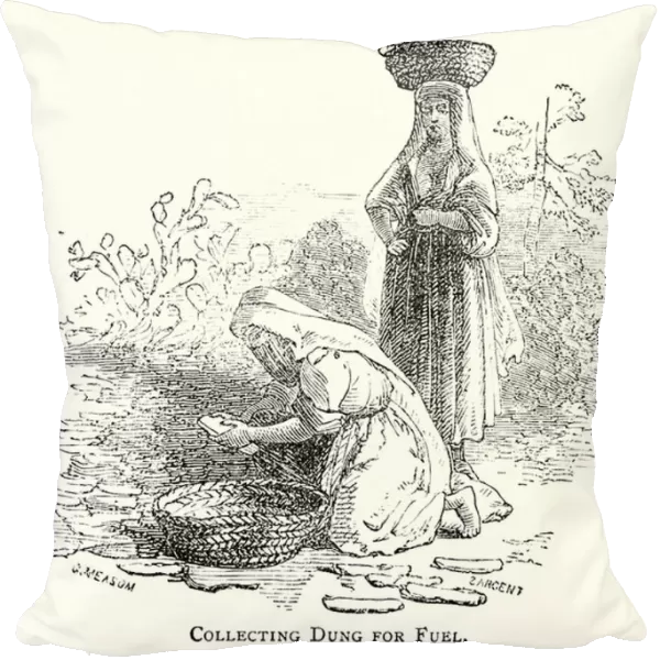 Collecting dung for fuel (engraving)