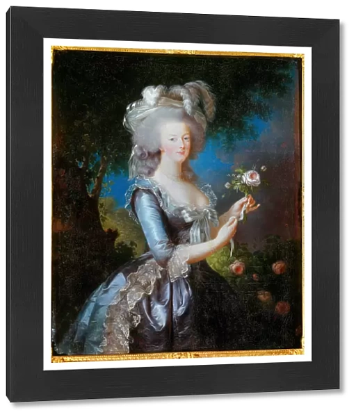 Rose portrait of Marie Antoinette of Lorraine Habsburg, 1783, (oil on canvas)