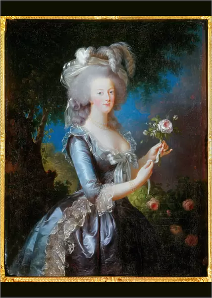 Rose portrait of Marie Antoinette of Lorraine Habsburg, 1783, (oil on canvas)