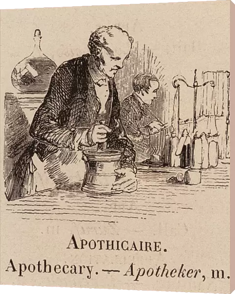 Le Vocabulaire Illustre: Apothicaire; Apothecary; Apotheker (engraving)