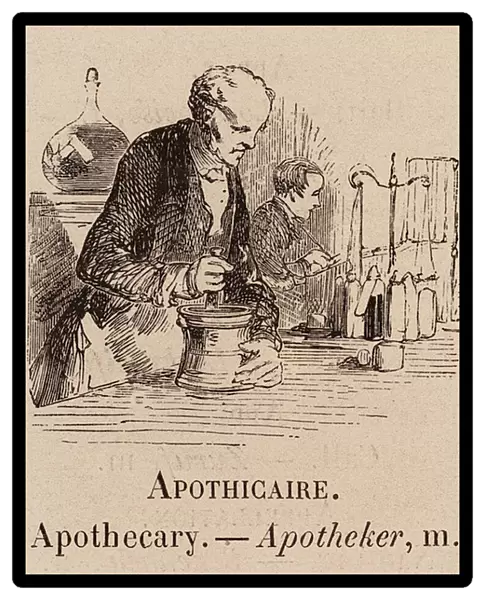 Le Vocabulaire Illustre: Apothicaire; Apothecary; Apotheker (engraving)