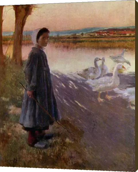 Young girl tending a flock of geese (colour litho)