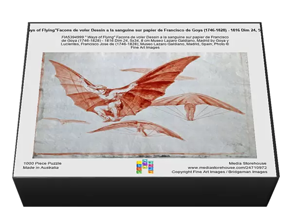 'Ways of Flying'Facons de voler Dessin a la sanguine sur papier de Francisco de Goya (1746-1828) - 1816 Dim 24, 5x34, 8 cm Museo Lazaro Galdiano, Madrid