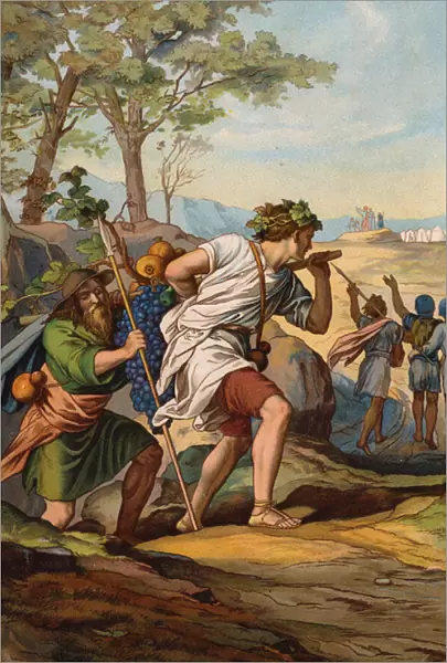 The spies carrying grapes proving the fertility of Canaan (chromolitho)