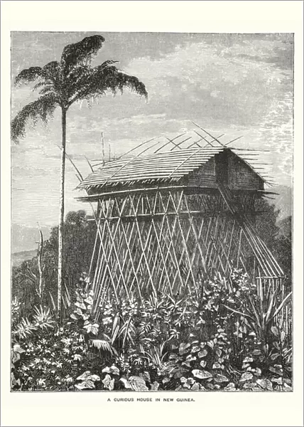 A curious house in New Guinea (engraving)