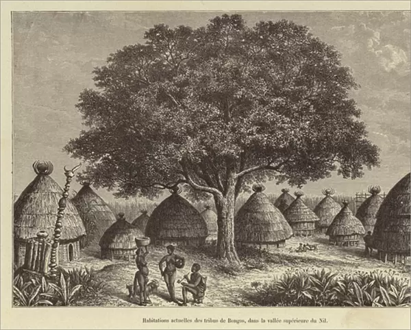 Habitations actuelles des tribus de Bongos, dans la vallee superieure du Nil (engraving)