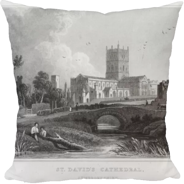 St Davids Cathedral, Pembrokeshire (engraving)