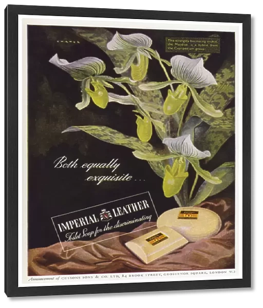 Advertisement for Cussons Imperial Leather soap (colour litho)