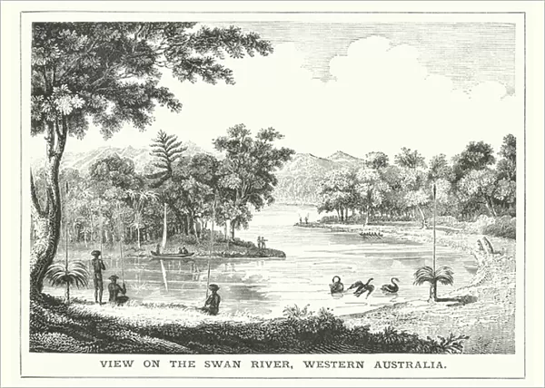 View on the Swan River, Western Australia (engraving)